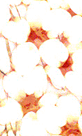 hana.gif