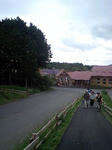 HI370682-0001.JPG