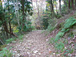 蛇谷ヶ峰（さわらび草原）