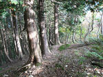 蛇谷ヶ峰（さわらび草原）