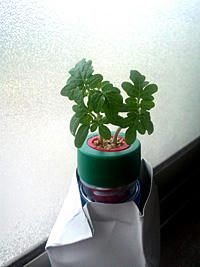 120618_145014.jpg