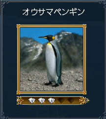 キングペンギン