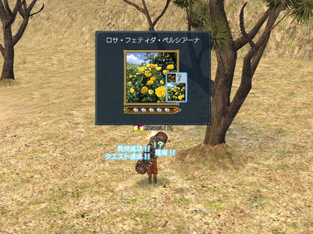な、なまえながい・・・
