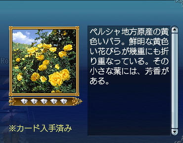 花ではなく葉なんですねぇ