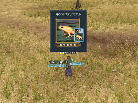 キレイだけどこあいみたいです。