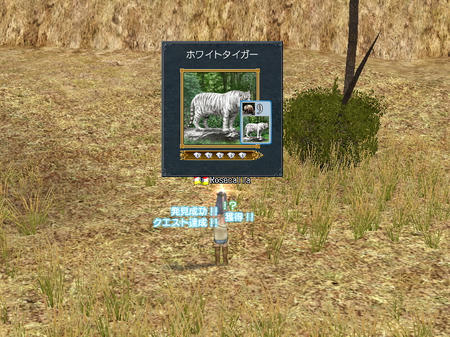 しあわせになれますよーに!