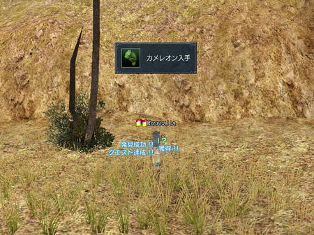 かめれおーん！ｗ