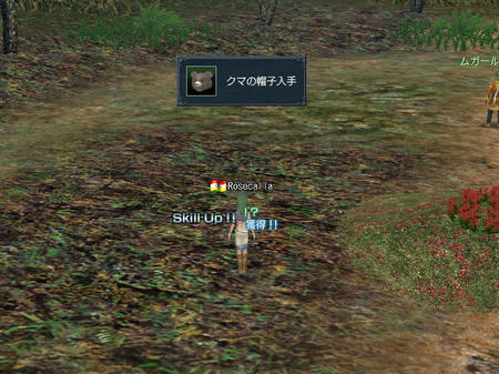 これで・・・揃ったんだよね？！