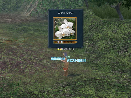これのオーナメントキレイですよ～＾＾