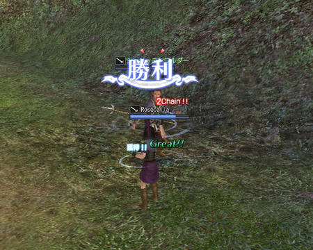 わーい勝てちゃったヽ(*´∀`)ノ