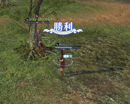 できれば穏便に情報を教えて欲しかったにゃ・・・
