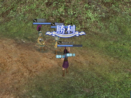 わーい勝てたーヽ(*´∀｀)ﾉ 