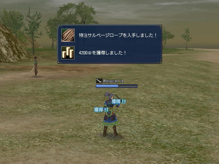 これじゃない方が欲しかった・・・