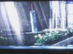 090416_1331~02.jpg