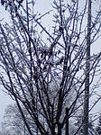 100407_0814~02.jpg