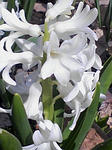 100501_1402_01.jpg