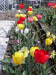 100514_1340_01.jpg