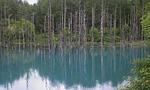 120714_1511~01.jpg
