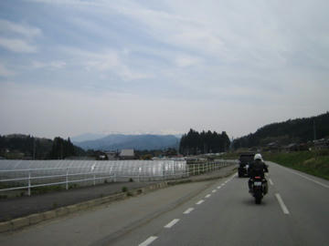 IMG_6934.jpg