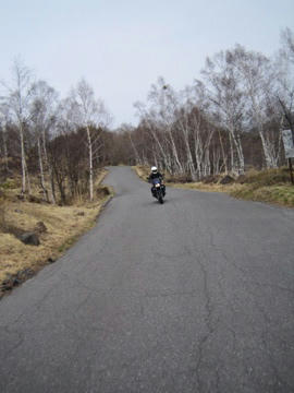 IMG_6971.jpg