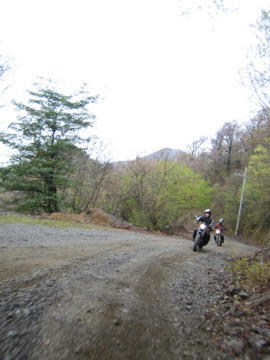 IMG_7065.jpg