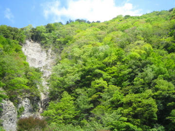 IMG_7137.jpg