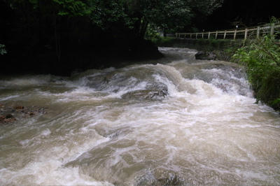 R0011678.jpg