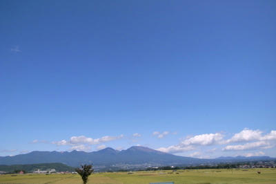 R0012277.jpg