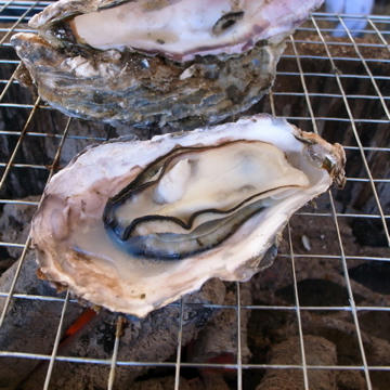 R0013043.jpg