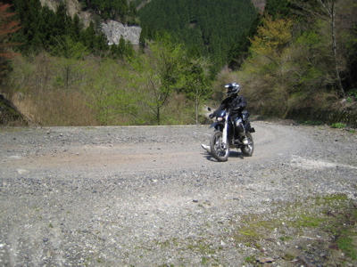 IMG_7481.jpg
