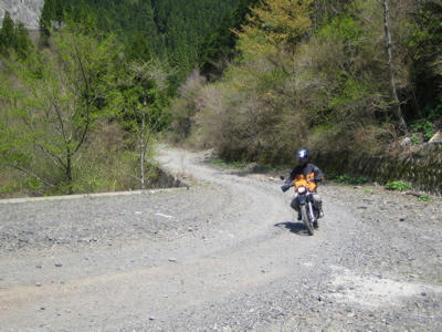 IMG_7482.jpg