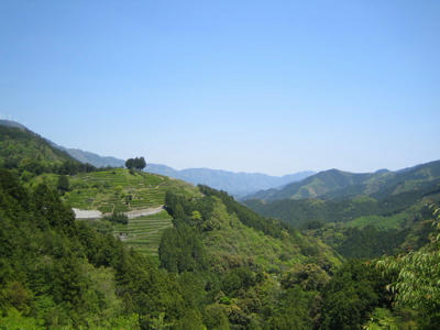 IMG_7554.jpg