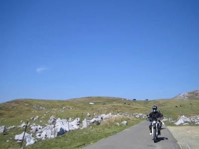 IMG_7593.jpg