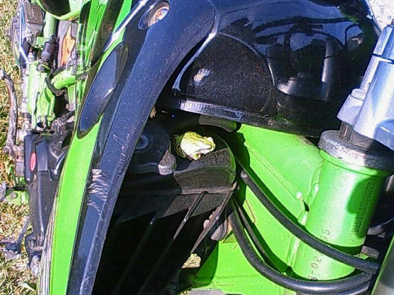 201006040756000.jpg
