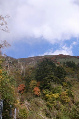 R0014391.jpg