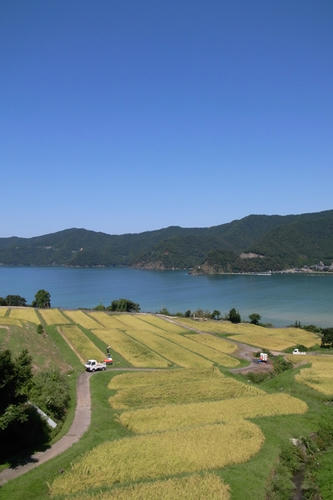 R0015549.jpg