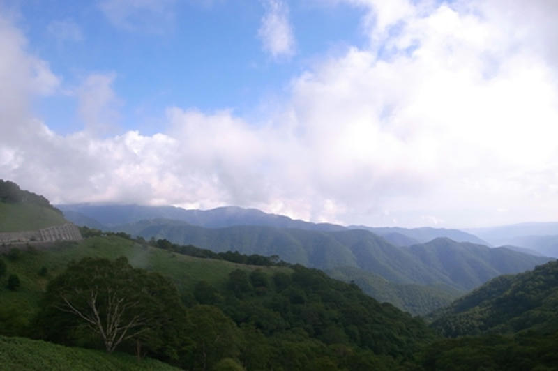 R0016998.JPG
