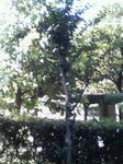 200708090812000.jpg