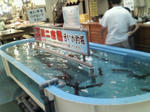 200708270800000.jpg