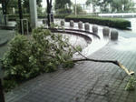 200709070742000.jpg