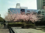 200803111429000.jpg