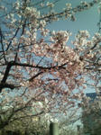 200803111428000.jpg