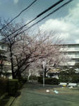 200803291342000.jpg