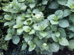 200805251203000.jpg
