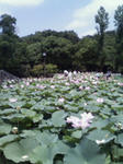 200807201134000.jpg