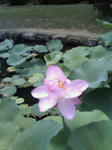 200807201146000.jpg