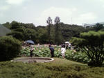 200807201131000.jpg