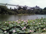 200807201141000.jpg