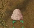 ee8321b1jpeg