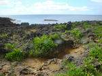 zanpaDSC07572.jpg